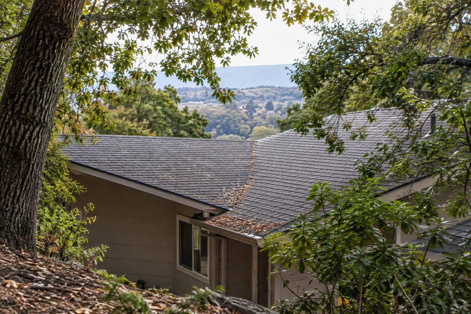 Tree-lined roof valley viewed from a nearby ground-level slope