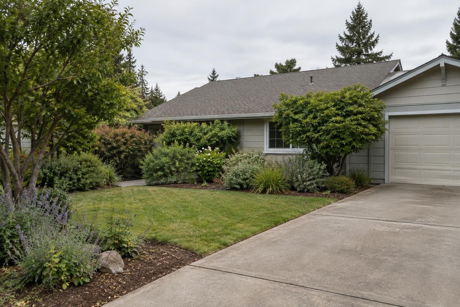 Residential garden and driveway beneath an intact roof, viewed from the yard.