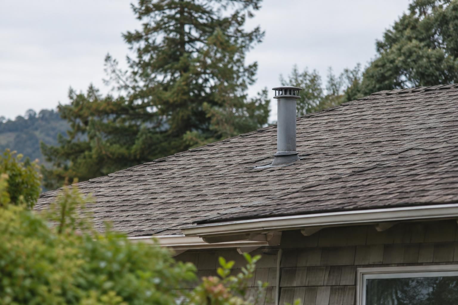 Roof vent and surrounding shingles viewed from a neighboring garden